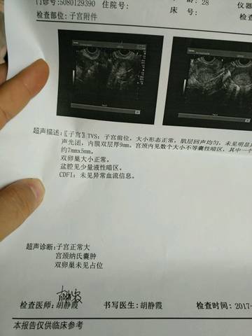 journal_insert_pic_851811020