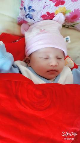 journal_insert_pic_853262609