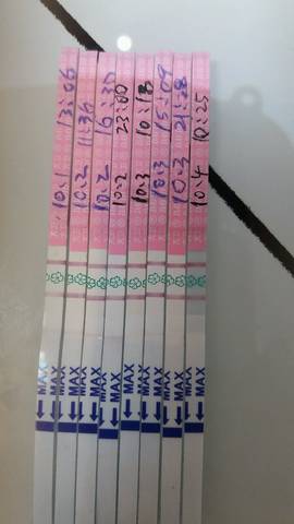 journal_insert_pic_853097857