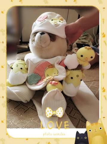 journal_insert_pic_853650037