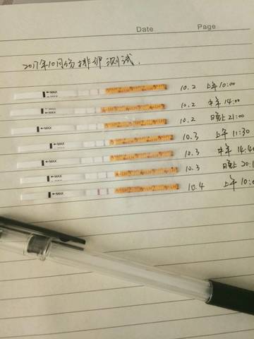 journal_insert_pic_853075030