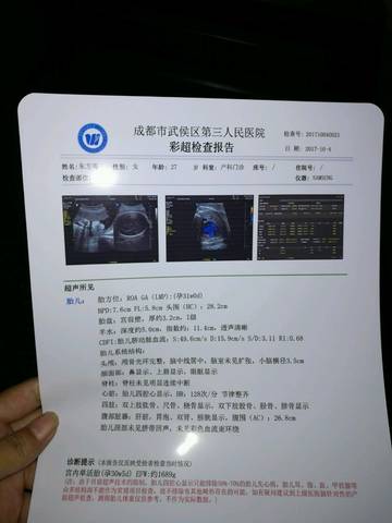 journal_insert_pic_854348877