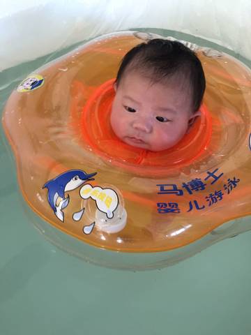 journal_insert_pic_855051920
