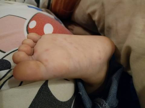 journal_insert_pic_855141189