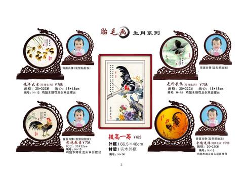 journal_insert_pic_856571002