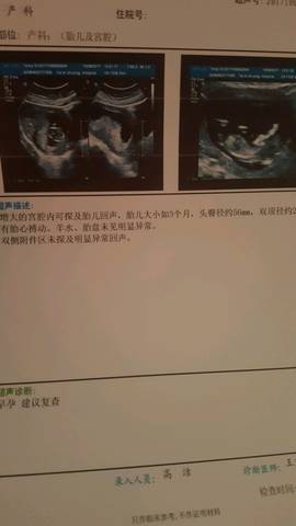 journal_insert_pic_856628748