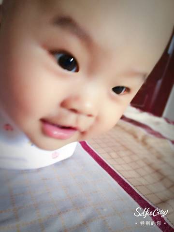 journal_insert_pic_857679443