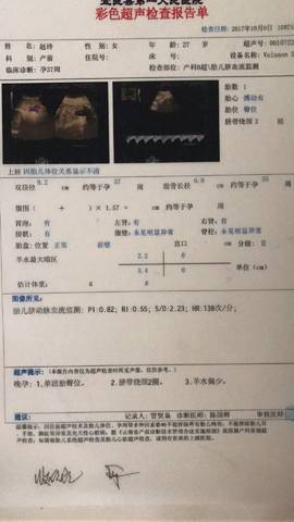 journal_insert_pic_857640321