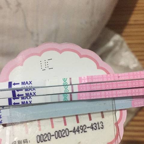 journal_insert_pic_858974095