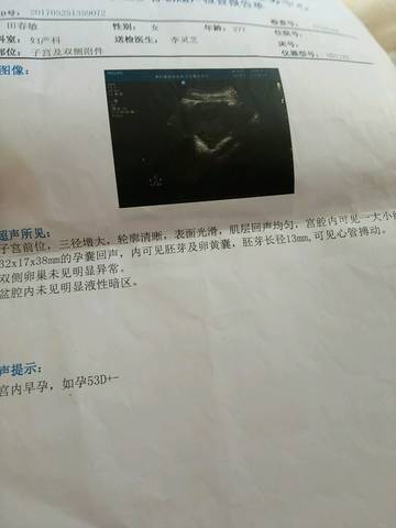 journal_insert_pic_859245400