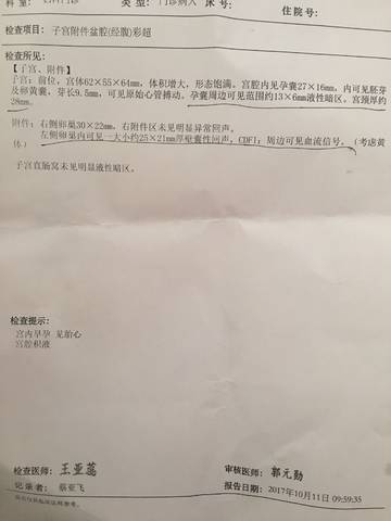journal_insert_pic_859383299