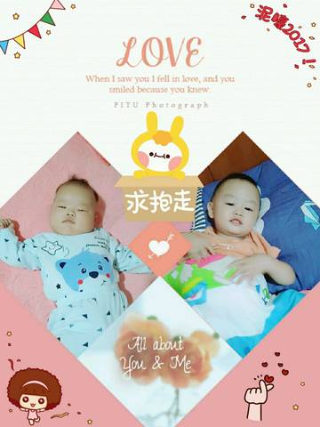 journal_insert_pic_859371039
