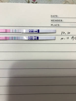 journal_insert_pic_860407317