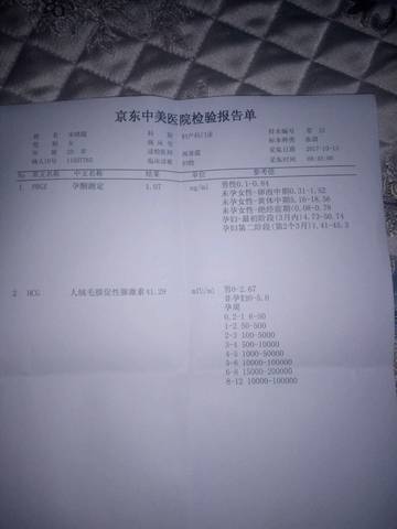 journal_insert_pic_861242678