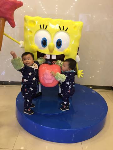 journal_insert_pic_861557353