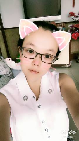 journal_insert_pic_862544538