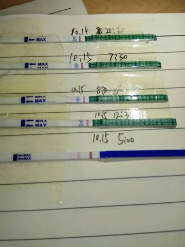 journal_insert_pic_862545693