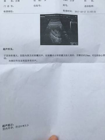 journal_insert_pic_864050252