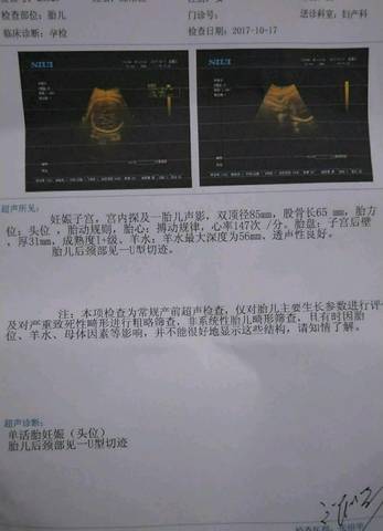 journal_insert_pic_863861977
