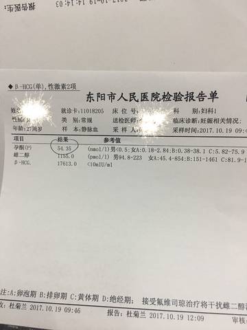 journal_insert_pic_865581149
