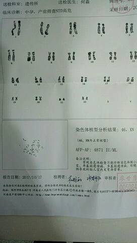 journal_insert_pic_865241736