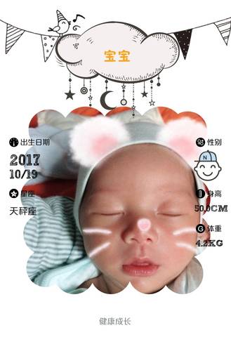 journal_insert_pic_865483967