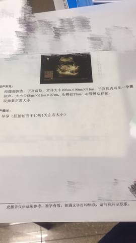 journal_insert_pic_865969770