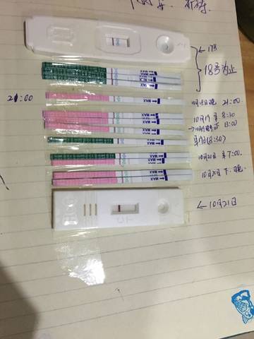journal_insert_pic_866816436