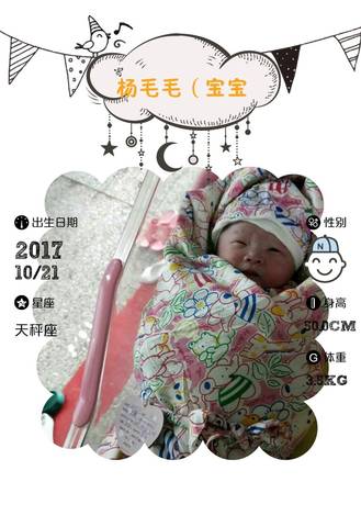 journal_insert_pic_866716947