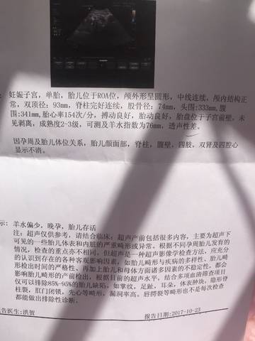 journal_insert_pic_868190487