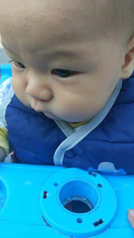journal_insert_pic_868224768