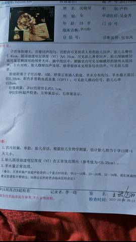 journal_insert_pic_869351127