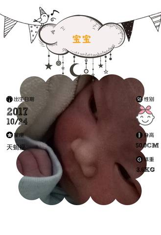 journal_insert_pic_869077215
