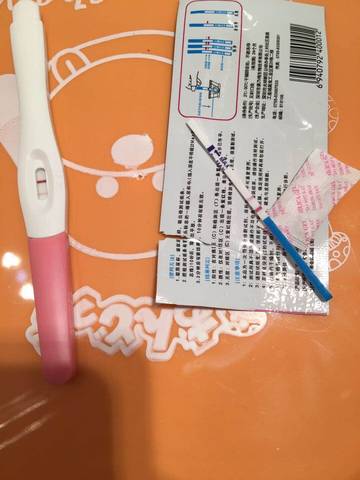 journal_insert_pic_869594582