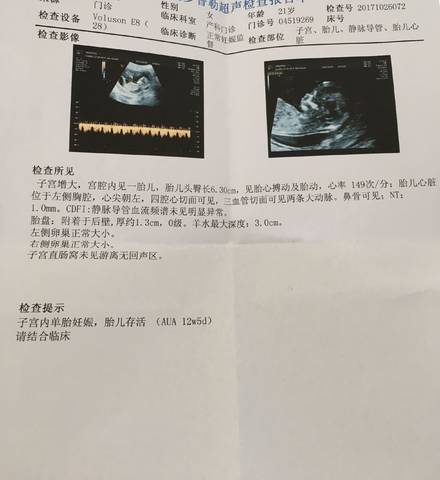 journal_insert_pic_870400983