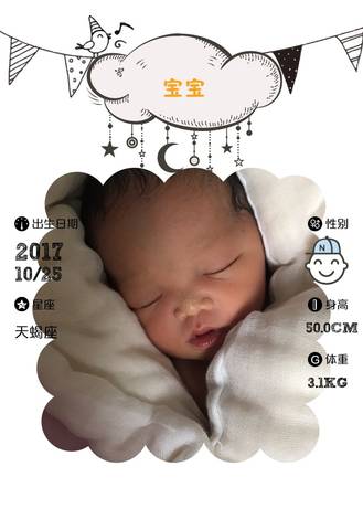 journal_insert_pic_871533299