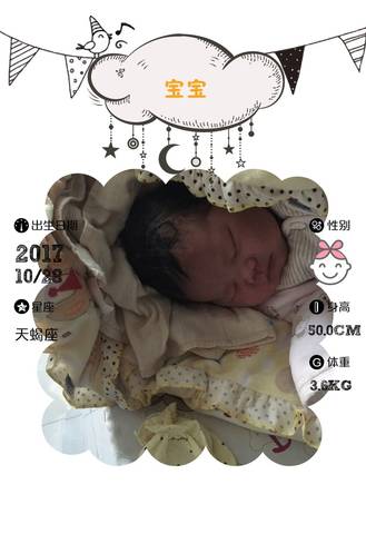 journal_insert_pic_872646318