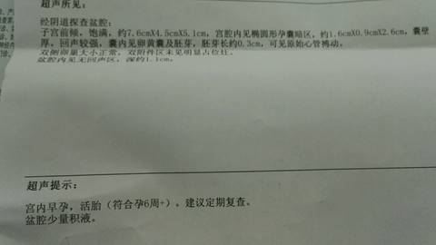 journal_insert_pic_872586288