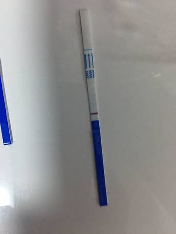 journal_insert_pic_872579209