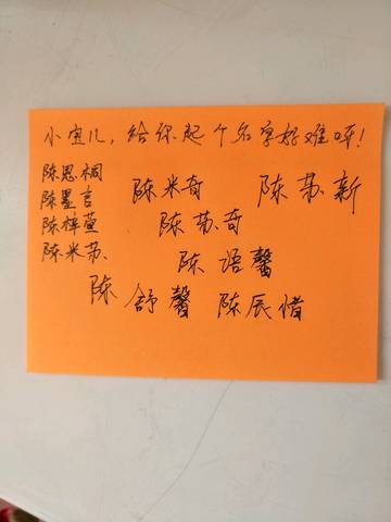 journal_insert_pic_873294584