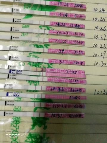 journal_insert_pic_874261843