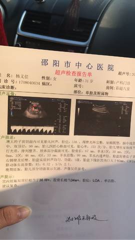 journal_insert_pic_875042326