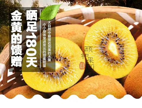 journal_insert_pic_875012992