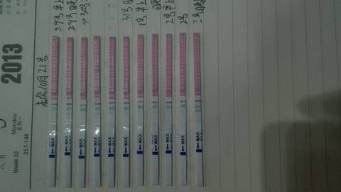journal_insert_pic_875850649