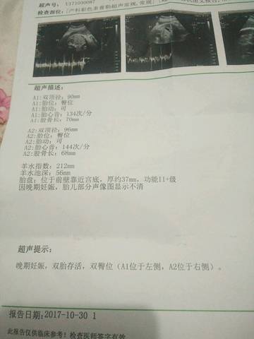 journal_insert_pic_875971650