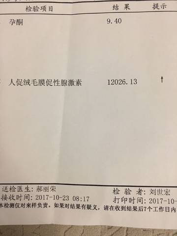 journal_insert_pic_875845140