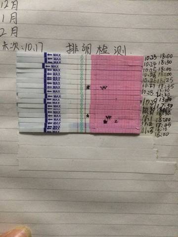 journal_insert_pic_876498573