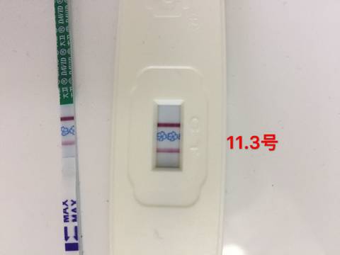 journal_insert_pic_876045774