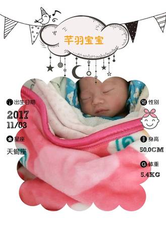 journal_insert_pic_876952811
