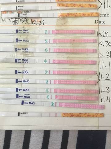 journal_insert_pic_877528025